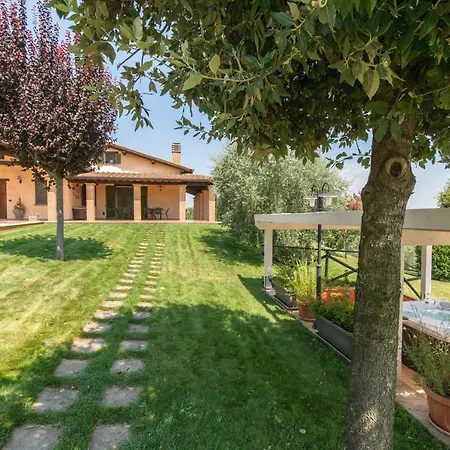 Degli Ulivi *