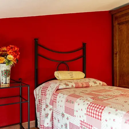 Degli Ulivi *
